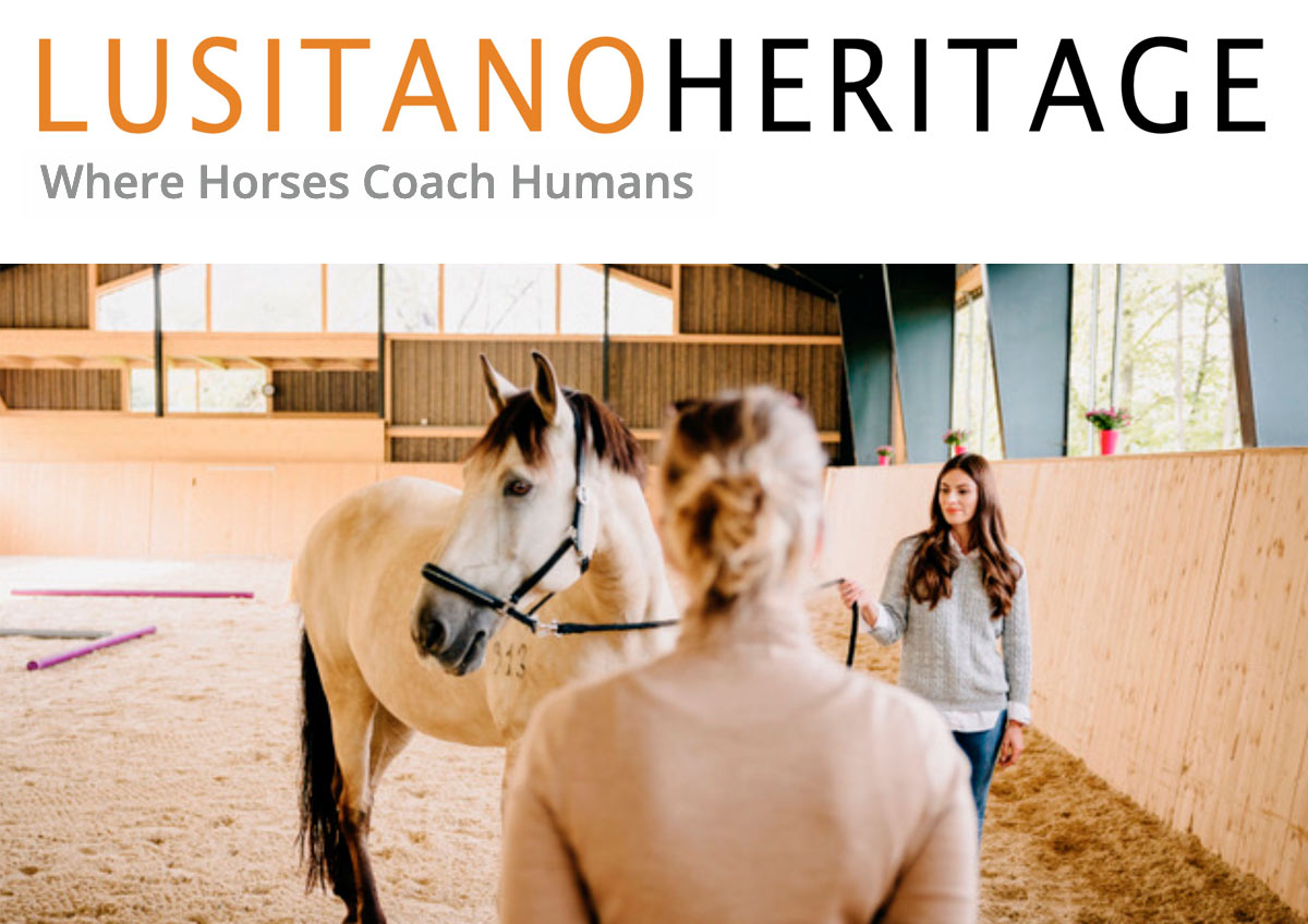 Lusitano Heritage: Wo Pferde Menschen coachen
