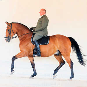 Jagdschlosses Falkenhaus: Eberhard Weiß - klassische Reitausbildung